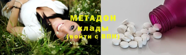 прущие грибы Снежногорск