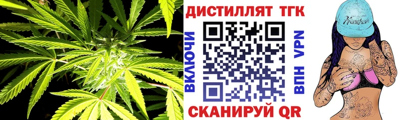 ссылка на мегу как войти  даркнет сайт  Дубовка  Дистиллят ТГК гашишное масло 