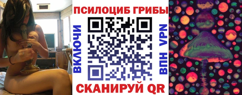 Галлюциногенные грибы MAGIC MUSHROOMS Дубовка